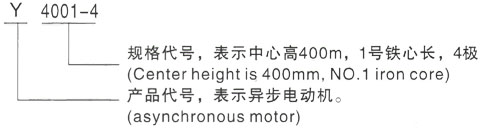 西安泰富西玛Y系列(H355-1000)高压YJTG-160M1-2A/11KW三相异步电机型号说明