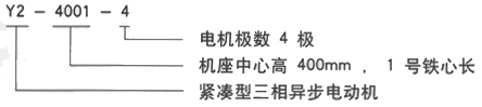 YR系列(H355-1000)高压YJTG-160M1-2A/11KW三相异步电机西安西玛电机型号说明